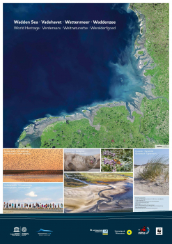 Satelliten-Poster Wattenmeer