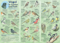 Preview: Vögel in Garten und Park