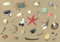 Preview: Tischset Funde am Strand