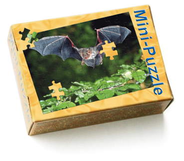 Minipuzzle Großes Mausohr Schachtel