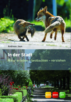 In der Stadt von Andreas Jaun
