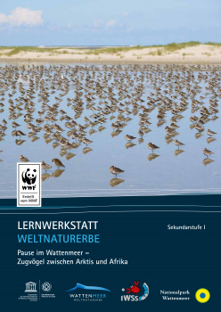 Broschüre "Pause im Wattenmeer - Zugvögel zwischen Arktis und Afrika"