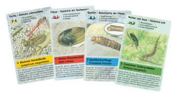 Preview: Quartett Wasserwelten