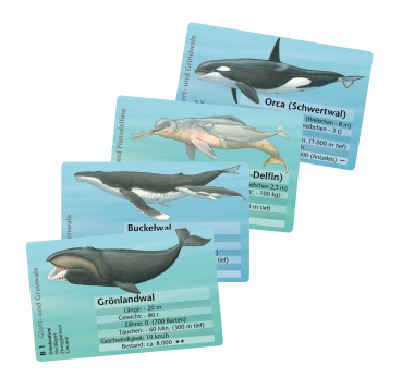 Preview: Quartett Wale und Delfine