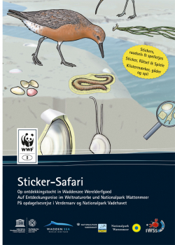 Sticker-Safari: Auf Entdeckungsreise im Weltnaturerbe Wattenmeer