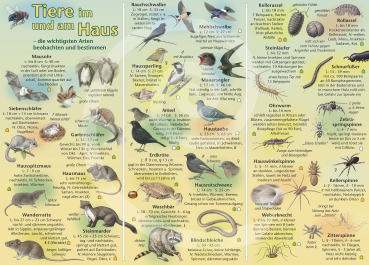 Tiere im und am Haus
