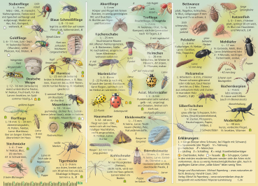 Preview: Tiere im und am Haus