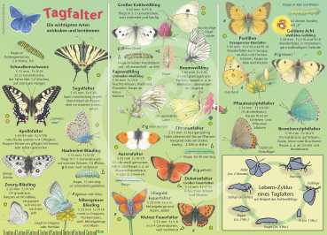 Tagfalter