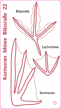 Bestimmungsfächer Tierspuren