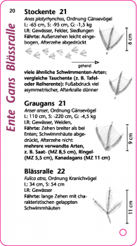 Bestimmungsfächer Tierspuren