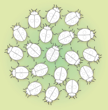 Preview: Malbuch Mandalas