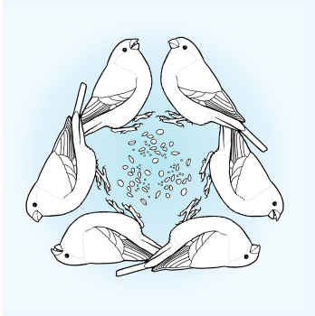 Preview: Malbuch Mandalas