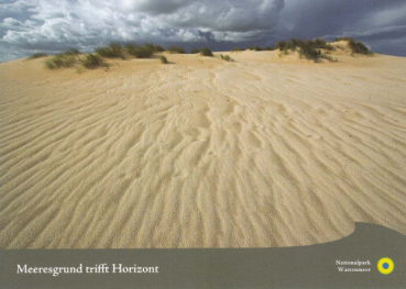 Wanderdünen im Wattenmeer