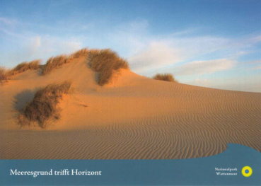 Wanderdüne am Wattenmeer