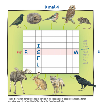 Preview: Bunte Rätsel Rund um den Igel