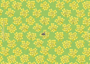 Preview: Tischset Wildbienen