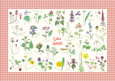 Tischset Essbare Wildpflanzen