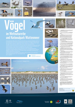 WWF-Poster Vogelwelt im Wattenmeer (gefaltet)