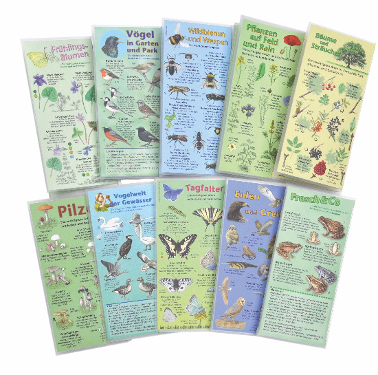 Get Garten Pflanzen Bestimmen Pictures