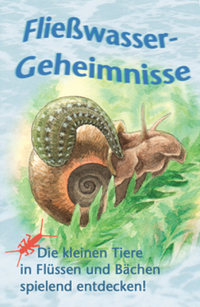 Quartett Fließwassergeheimnisse