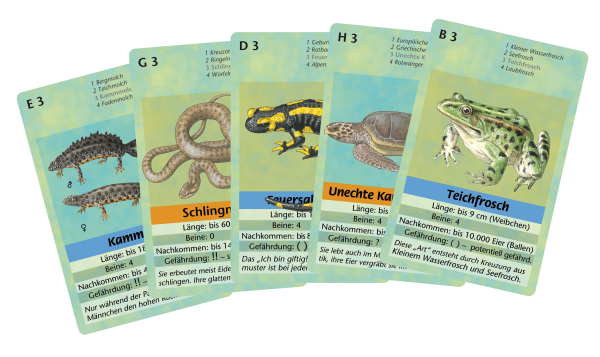 Quartett Amphibien und Reptilien