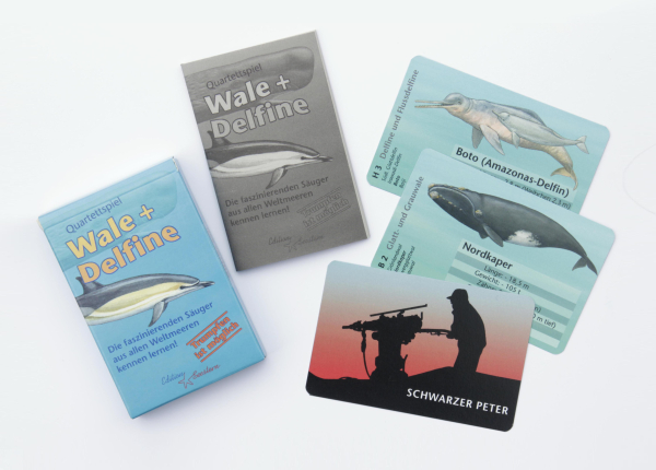Quartett Wale und Delfine
