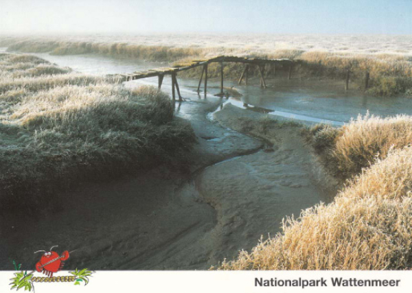 Salzwiese mit alter Brücke