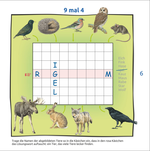 Bunte Rätsel Rund um den Igel