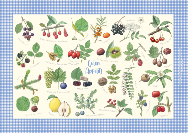 Tischset Essbare Wildfrüchte