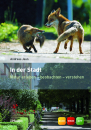 In der Stadt von Andreas Jaun