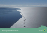 WWF-Postkarte "Fußspuren im Watt"