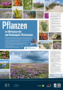 WWF-Poster Pflanzen im Wattenmeer (gefaltet)